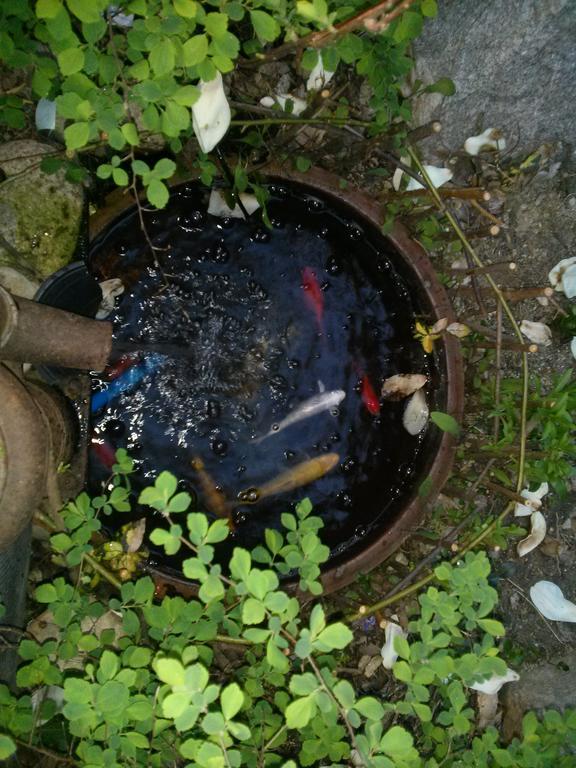 Dalbbit Hyang Hotel Csondzsu Kültér fotó
